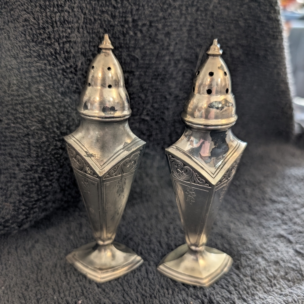 Elegant Silver Salt and Pepper Shakers